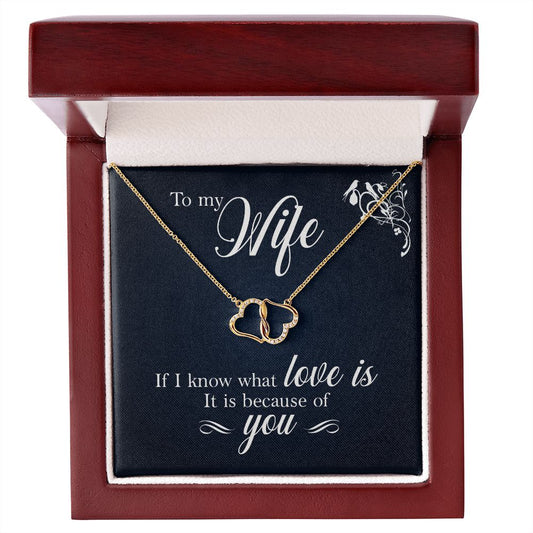 TO MY WIFE