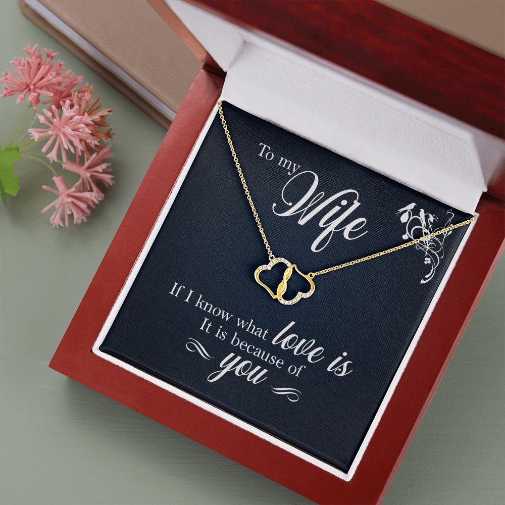 TO MY WIFE
